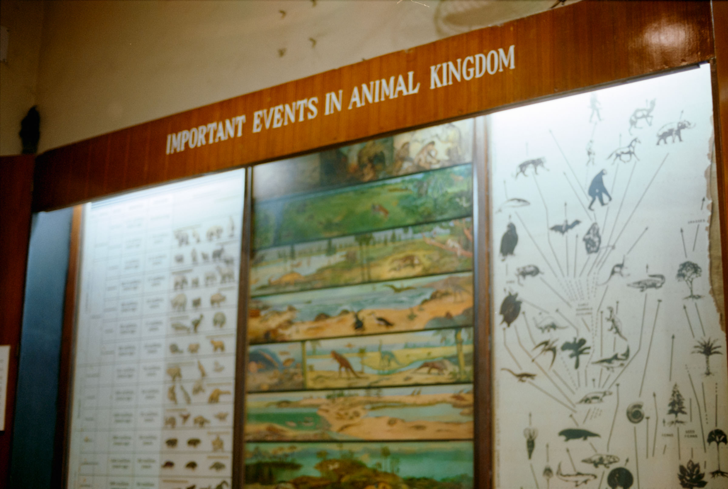 AHP film 2005 01 002 sc240825 img10 NLP